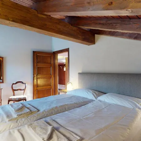 Ste 10 * סלרינה